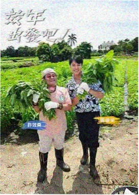 声音的现场 综艺海报